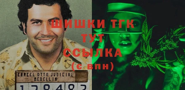 ГАЛЛЮЦИНОГЕННЫЕ ГРИБЫ Горно-Алтайск