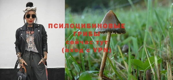 MESCALINE Горняк