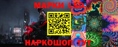 шишки Заволжье