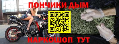 шишки Заволжье