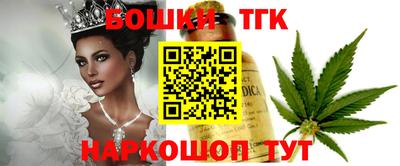 шишки Заволжье