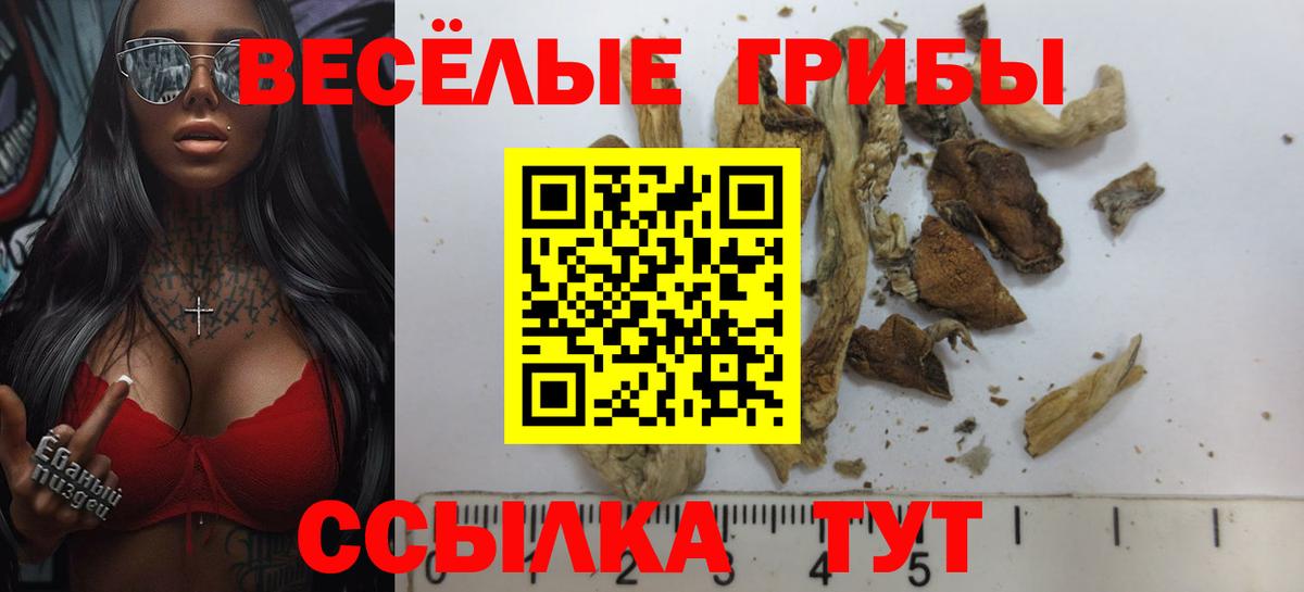 Галлюциногенные грибы MAGIC MUSHROOMS Самара