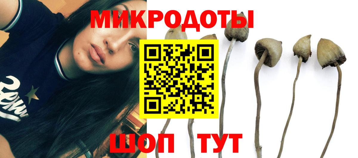 Псилоцибиновые грибы Cubensis  Вход с VPN  Самара  Псилоцибиновые грибы Magic Shrooms 